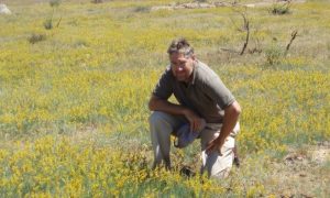 Lebeckia