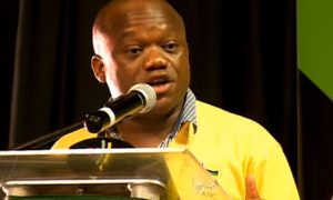 KZN Premier Sihle Zikalala