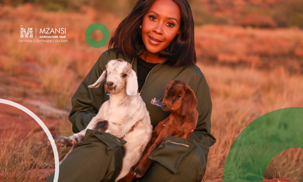 Gauteng emerging farmers invited to apply for funding – Mzansi ...