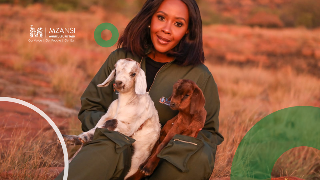 Gauteng emerging farmers invited to apply for funding – Mzansi ...