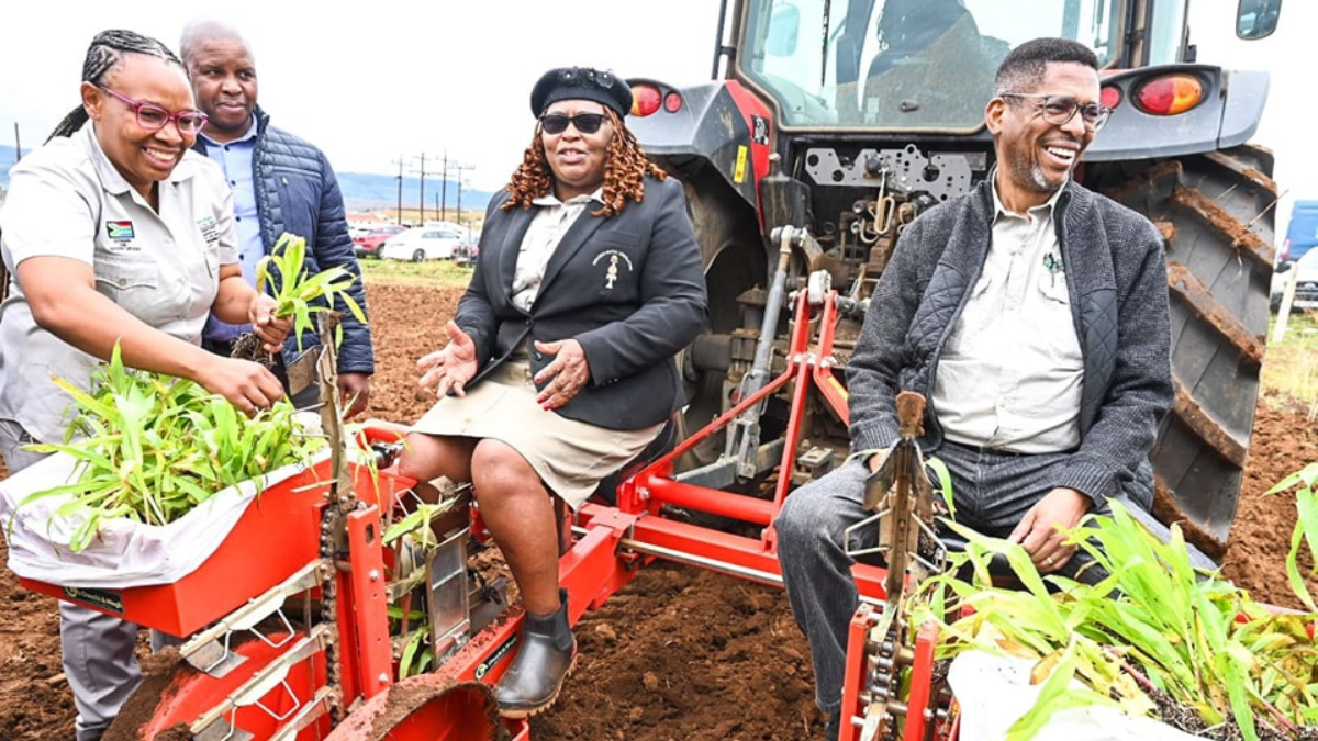 KZN Planting Season
